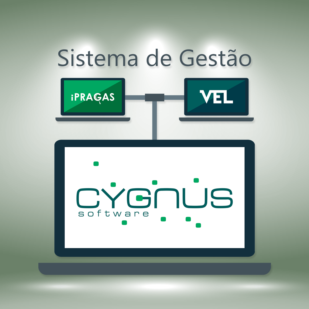 Cygnus Software